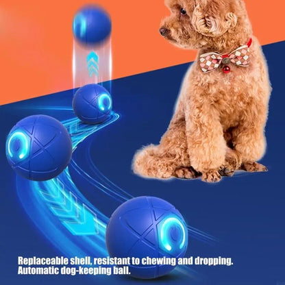 Rechargeable Interactively Rolling Balls For Pet That Automatically Moving And Changes Direction For Fun Exercise