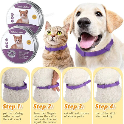CalmPaws Anxiety Relief Collar for Dogs & Cats