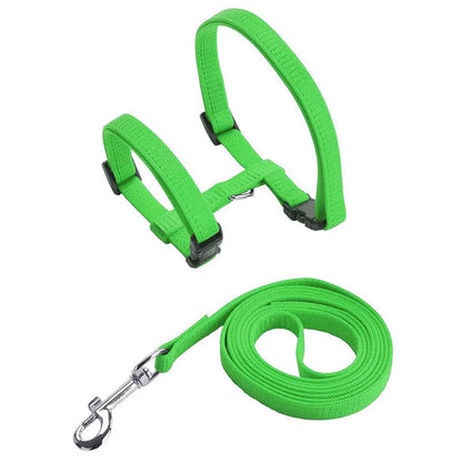 Comfortable Cat Harness and Leash for Adventures