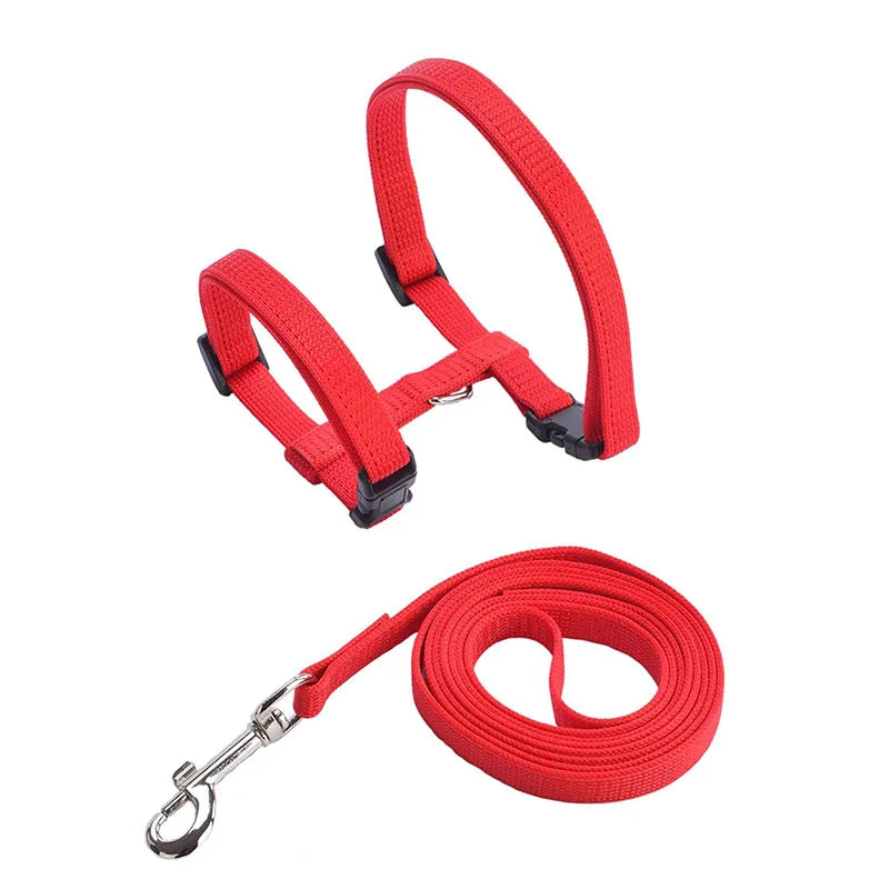Comfortable Cat Harness and Leash for Adventures