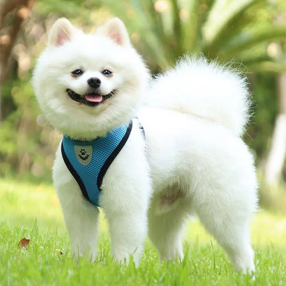 EscapeProof Cat Harness for Secure Outdoor Walks