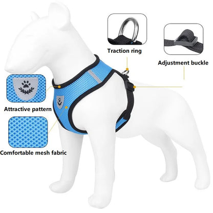 EscapeProof Cat Harness for Secure Outdoor Walks