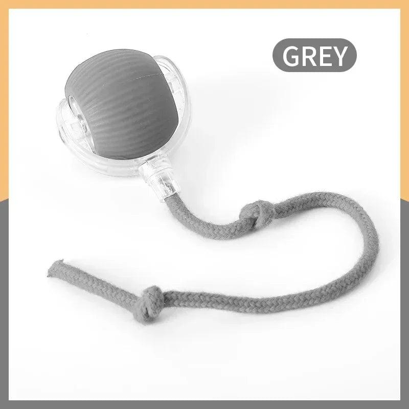Keep Cats Active Smart Rolling Toy