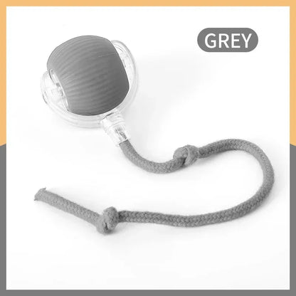 Keep Cats Active Smart Rolling Toy