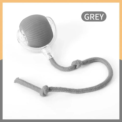 Keep Cats Active Smart Rolling Toy