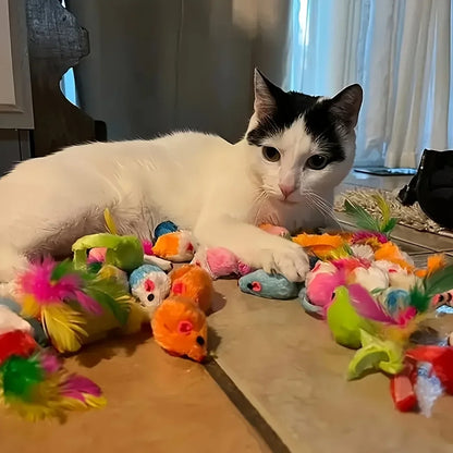 Multi Cat Toy Pack for Happy Playtime Adventures