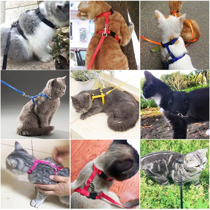 Comfortable Cat Harness and Leash for Adventures