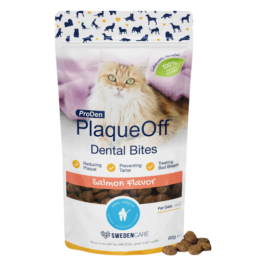 ProDen PlaqueOff Dental Bites for Cats Tartar & Bad Breath Remover 100% Natural Teeth Cleaner and - Improve Overall Oral Health - Salmon Flavor 60g