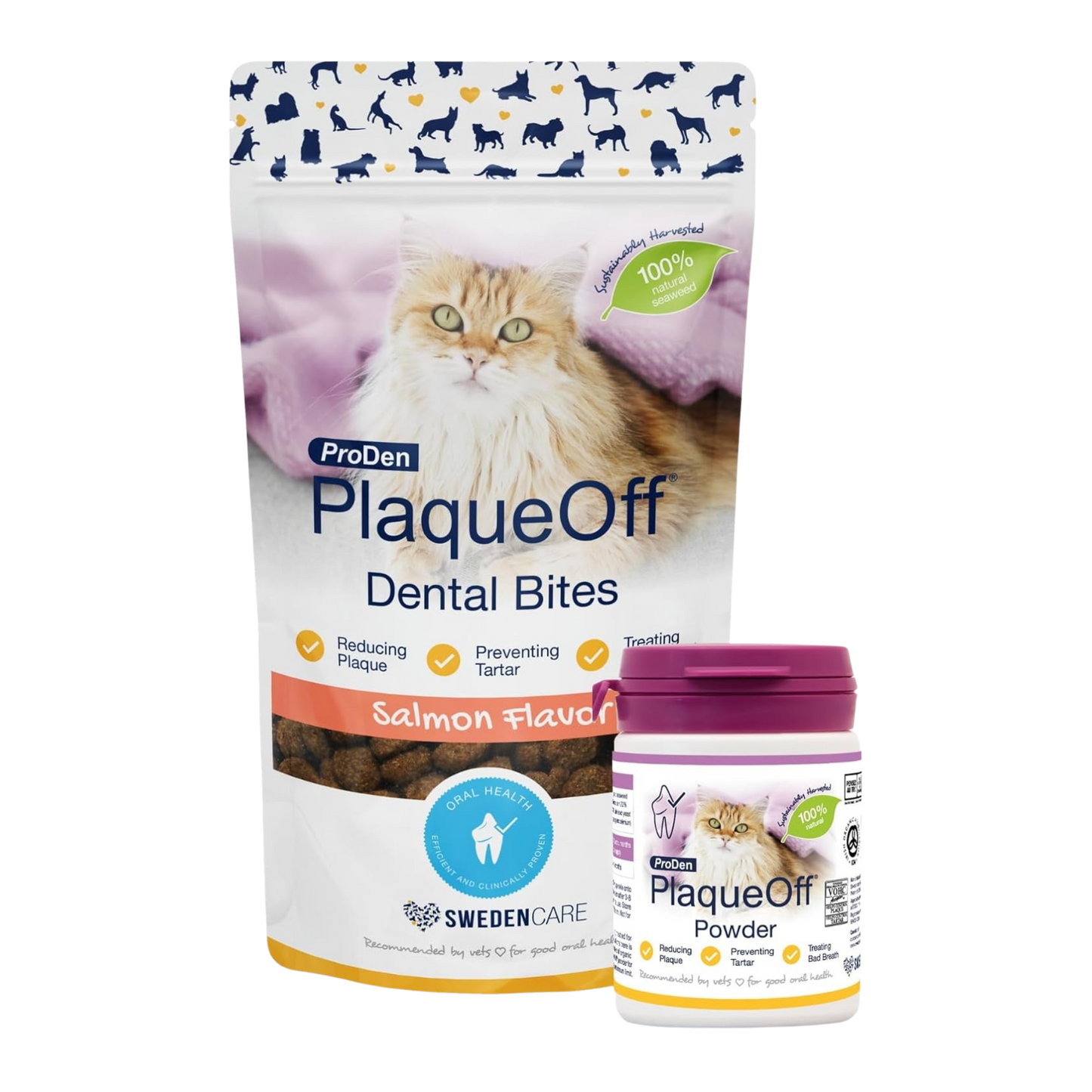 ProDen PlaqueOff Dental Bites Cat 60 g For Cats Bad Breath, Plaque, Tartar Brown (Bundle - Cat Bites & Powder)